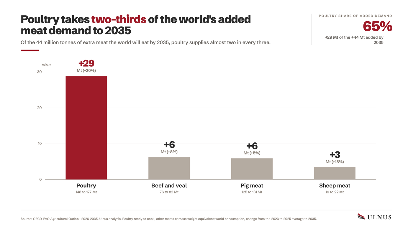 Bar chart of added world meat demand to 2035 by species: poultry 29, beef and veal 6, pig meat 6, sheep meat 3 million tonnes